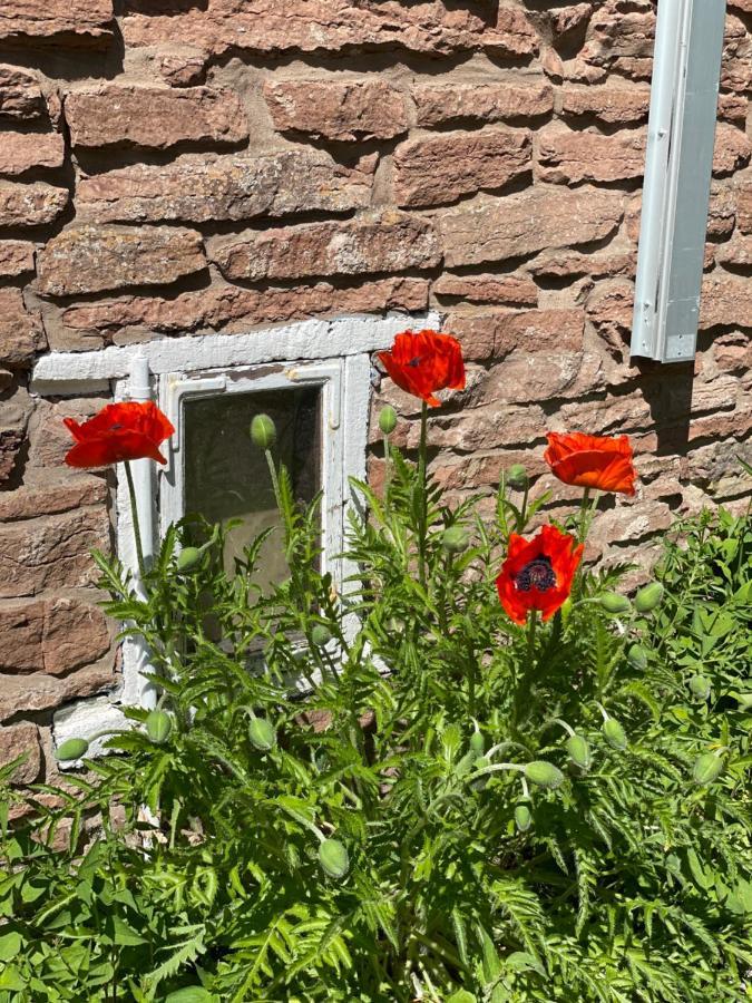 Rosenfors Herrgard B&B Borgholm Ngoại thất bức ảnh