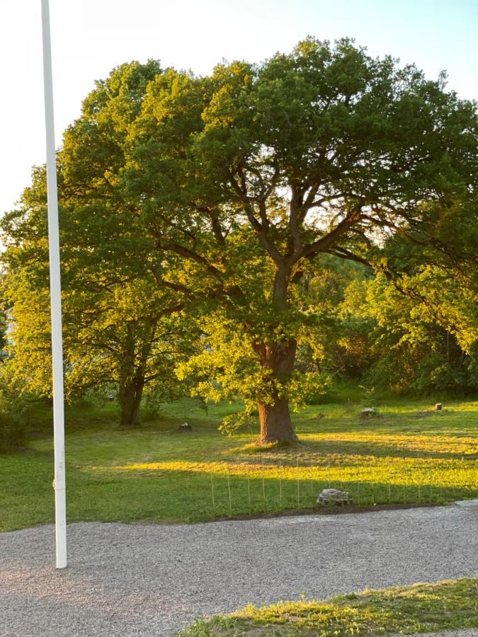 Rosenfors Herrgard B&B Borgholm Ngoại thất bức ảnh